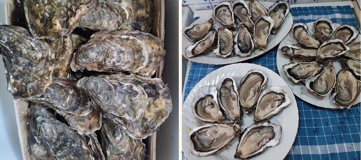 Chez Melon Tout Est Bon - Gallery Image 1