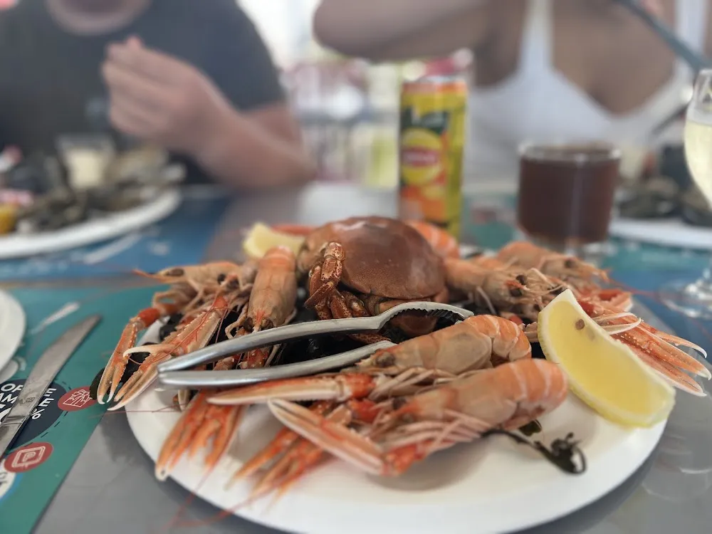 Plateau de Fruit de Mer Frais